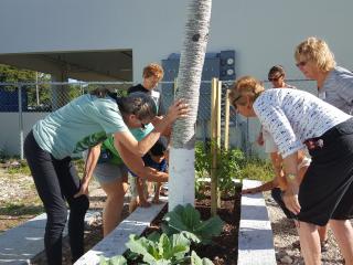 Volunteers planting garden beds.