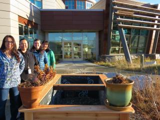Staff with medicinal planter bed.