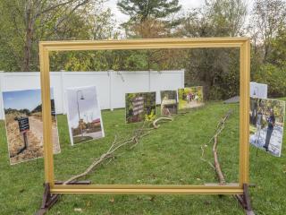Walking trail picture frame.