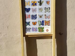 Butterfly tile art.