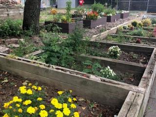 New flower planter beds.