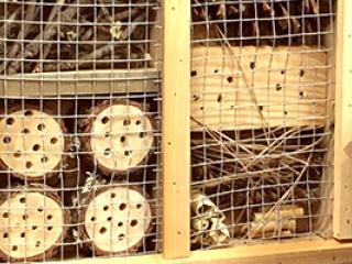 Collage of photos building a Bee Hotel out of wood.