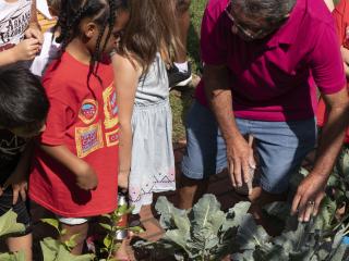 Showing children vegetables growing.