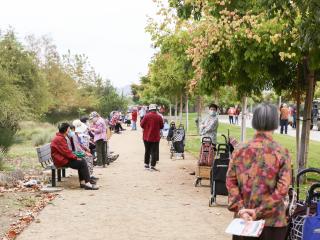 Older adults waiting for produce distribution.
