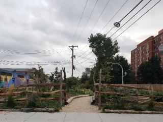 Community garden entrance.