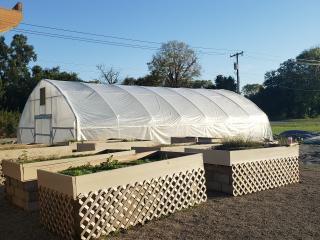 Raised garden beds and greenhouse.