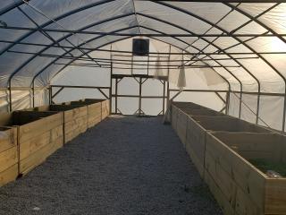 Inside greenhouse with raised beds.
