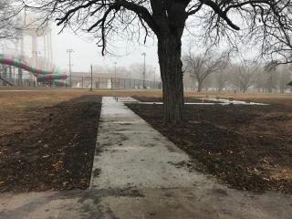 New accessible park path.
