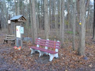 Benches along hiking trail