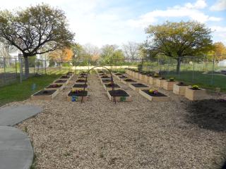 Raised beds in community garden.