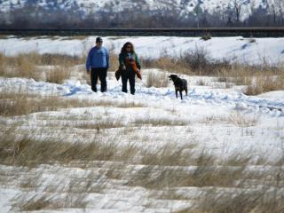 Two walkers with dog along trail in snow.
