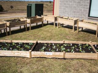 Completed raised garden beds