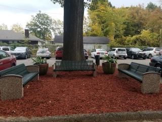 New benches underneath tree.