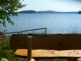 View of lake with new bench.