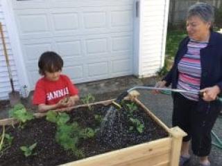 Older adult and child watering vegetables in raised garden bed.