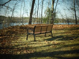 New bench installed with view of river.