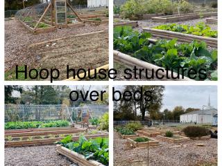 Picture collage of hoop houses over community garden beds.