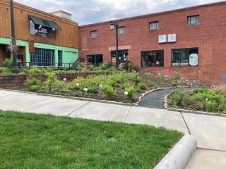 Parklet finished with grass and pollinator plants growing.