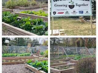 Picture collage of community garden sign and garden beds.