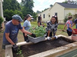 Volunteers planting in raised garden beds.