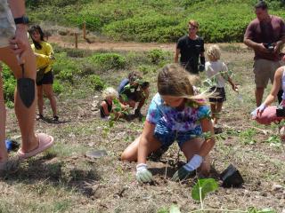 Volunteers planting native plants.