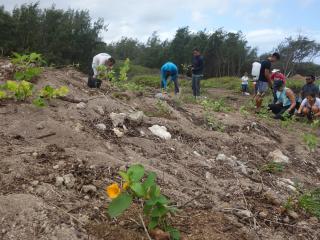 Volunteers planting native plants.