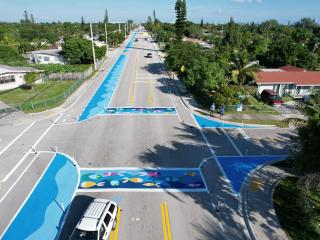 Overhead view of artistic crosswalk and traffic separation scheme.