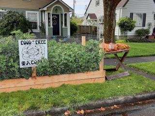 Raised garden bed along street with free produce.  .