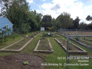 Community garden before work.