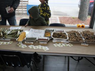 Display of seeds to share and plant.