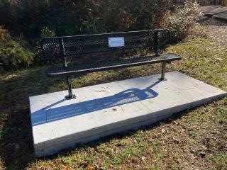 New bench along trail.