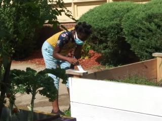 Painting a raised bed.