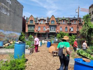 Revitalized community garden.