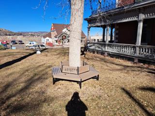 New bench around tree