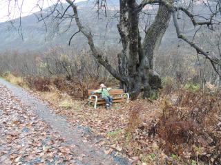 Person sitting on bench along trail.