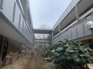 Interior courtyard of new adult day center.
