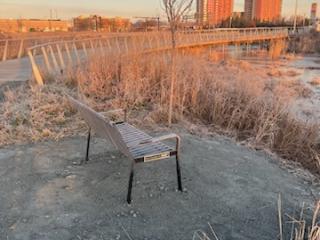 New bench with view of wetlands.