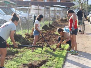 Volunteers gardening along Rice Street.
