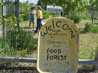 Welcome to Food Forest sign.
