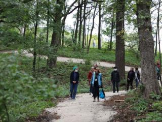 Group walking in woods.