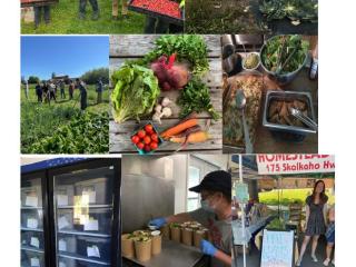 Photo collage of community gardens.