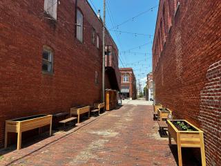 Raised garden beds and overhead lights in alley.