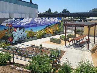 Overvlook of new garden, pergola, tables, and mural