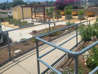 View of garden with accessible ramp to access.