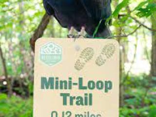Trail sign with Turkey Vulture