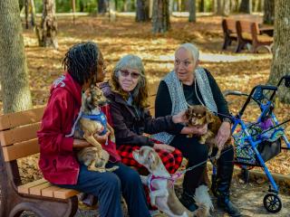 Older adults sitting with small dogs on bench.