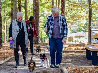 Older adults walking small dogs.