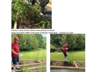 Photo collage of older adults working in community garden.
