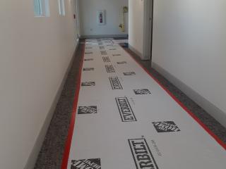 New carpeting in hallway.