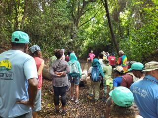 Group participating in a guided hike of trails.